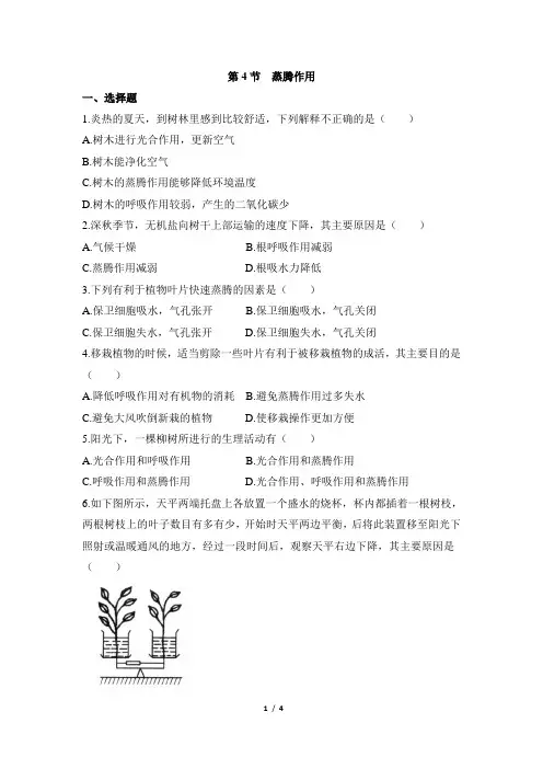 北师大版七年级生物上册5-4《蒸腾作用》同步练习1