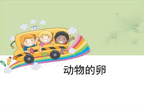 《动物的卵》新的生命(1) 图文