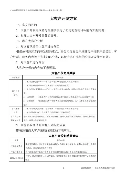 02大客户管理方案—大客户开发方案01