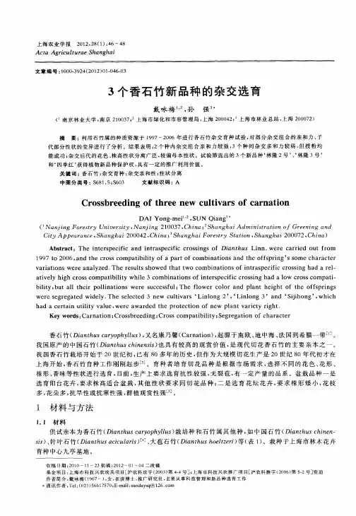 3个香石竹新品种的杂交选育