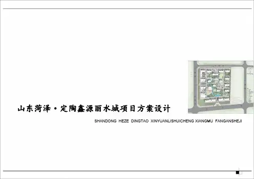 定陶鑫源丽水项目文本