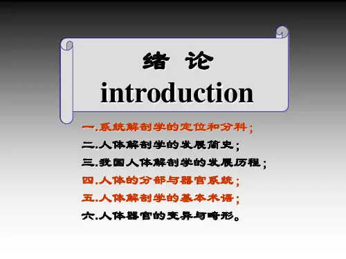 系统解剖学课件：绪论_运动系总论