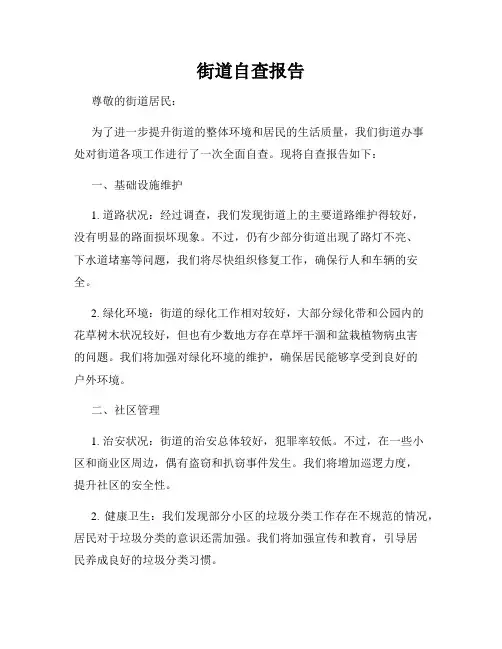 街道自查报告