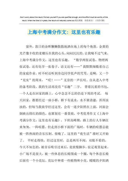 上海中考满分作文- 这里也有乐趣