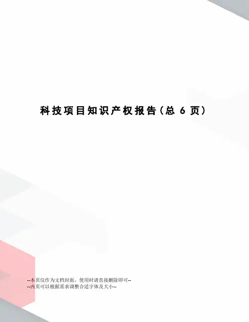 科技项目知识产权报告