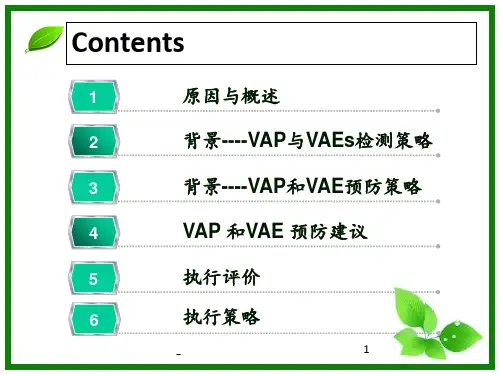 IDSA呼吸机相关性肺炎预防策略PPT课件