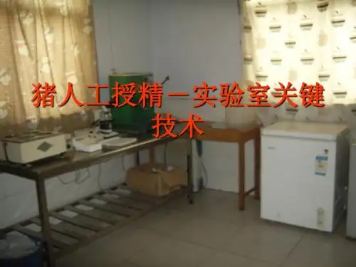 猪人工授精1-实验室关键技术