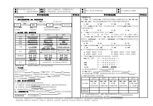4.3 基因控制蛋白质的合成第2课时学案(苏教版必修二)