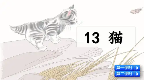 人教部编版四年级语文下册第13课《猫》精品课件