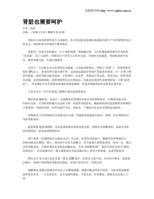 肾脏也需要呵护