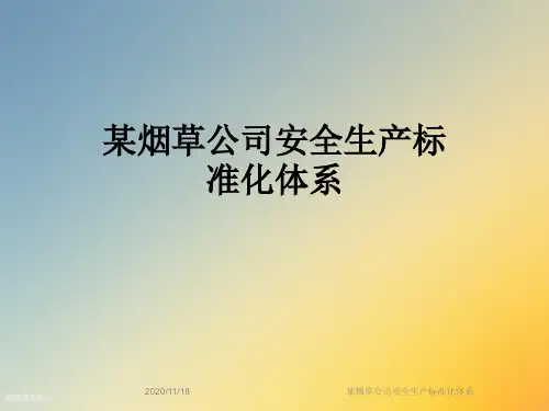 某烟草公司安全生产标准化体系
