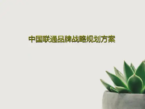 中国联通品牌战略规划方案37页PPT
