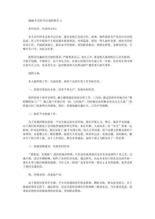 2019年农村书记述职报告范文
