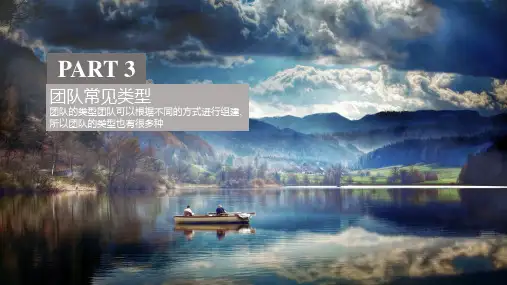 《团队管理》课件 专题一 模块三  团队常见类型