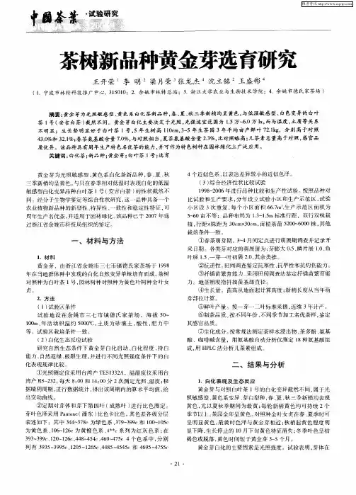茶树新品种黄金芽选育研究