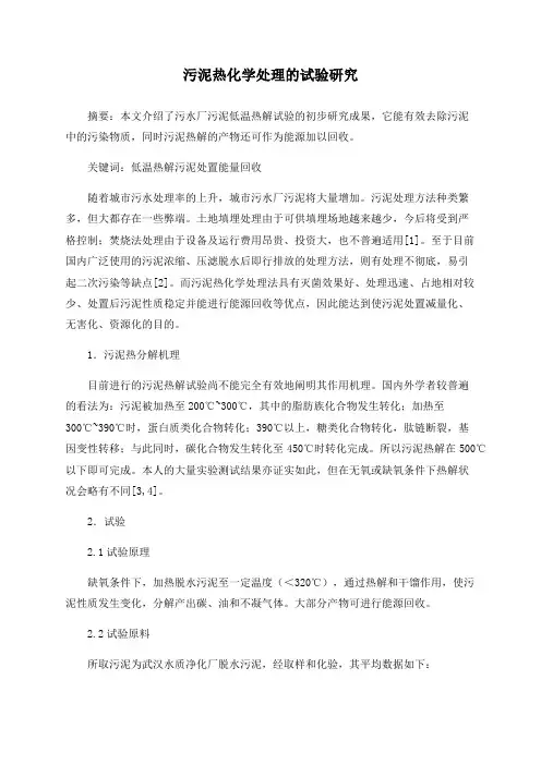 污泥热化学处理的试验研究
