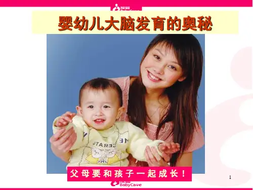 婴幼儿大脑发育的奥秘(课堂PPT)