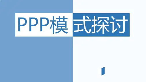 PPP模式探讨
