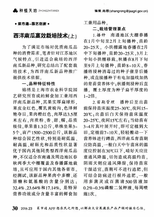 西洋南瓜高效栽培技术(上)