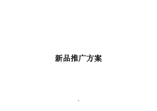 新品推广方案
