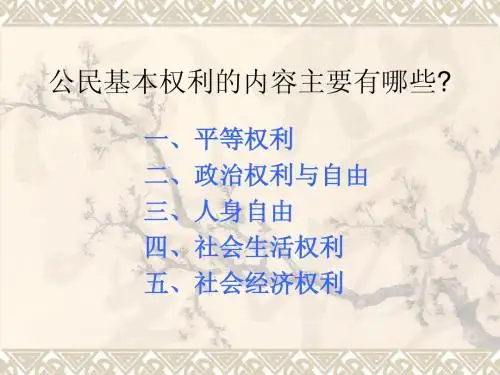 6.1维护人身权利