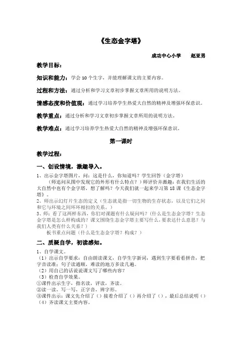 生态金字塔