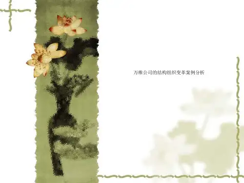 万维公司的结构组织变革案例分析