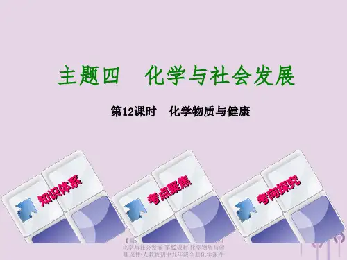 【最新】中考化学基础复习方案 主题四 化学与社会发展 第12课时 化学物质与健康课件-人教版初中九年