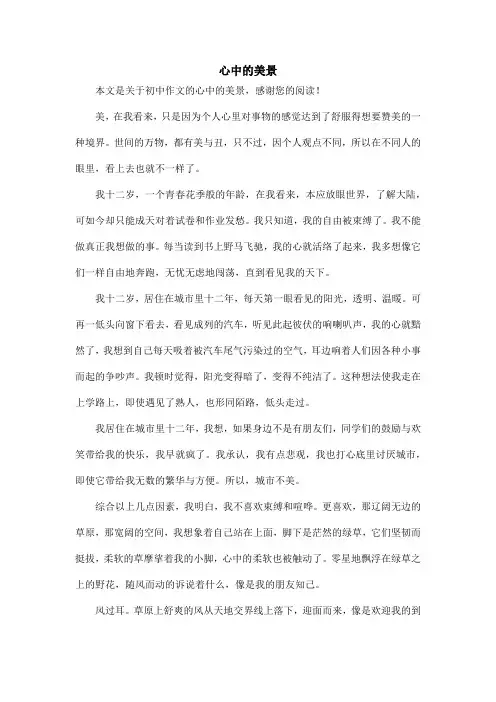 心中的美景_初中作文