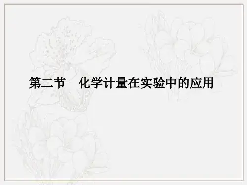 人教版高中化学必修一第一章第二节化学计量在实验中的应用 课件(共28张PPT)