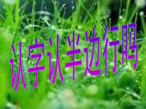 识字三_认字认半边行吗_课件