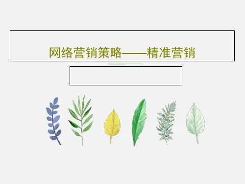网络营销策略——精准营销共31页文档