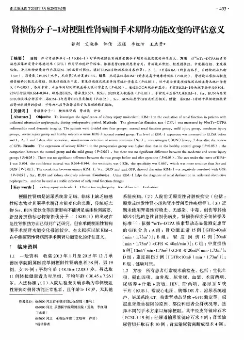 肾损伤分子-1对梗阻性肾病围手术期肾功能改变的评估意义