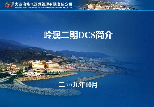 岭澳二期DCS简介