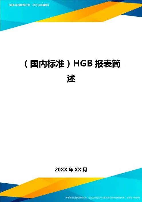 (国内标准)HGB报表简述
