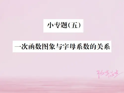 (毕节地区)2018年秋八年级数学上册小专题(五)一次函数图象与字母系数的关系作业课件(新版)新人教版