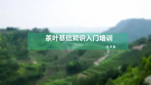 茶知识入门培训教材课件(37张)