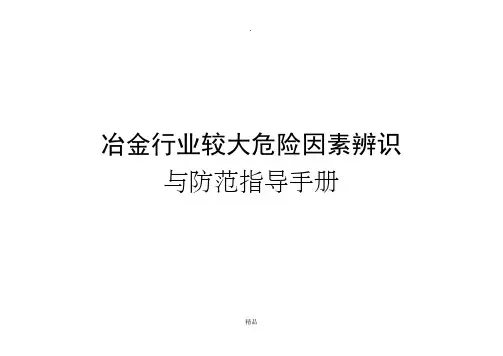 冶金行业较大危险因素辨识与防范指导手册