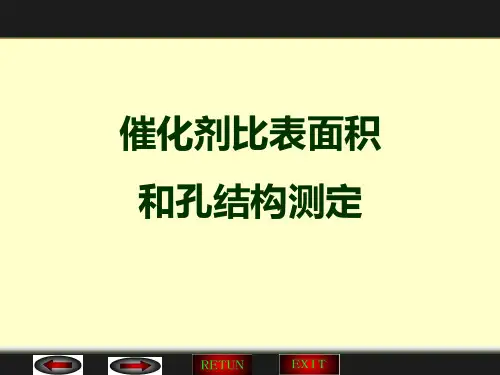 BET_BJH_HK_T-PLOT催化剂比表面积