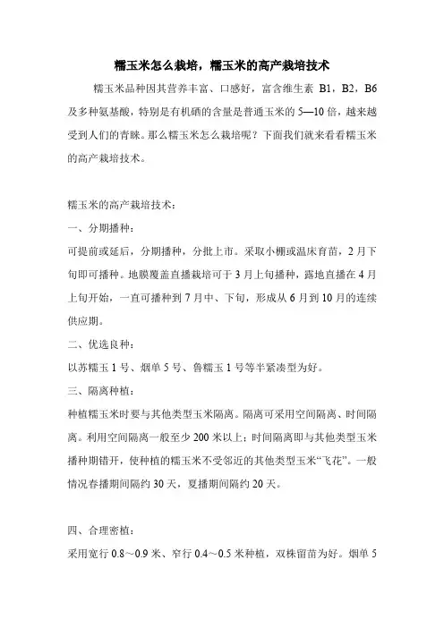 糯玉米怎么栽培,糯玉米的高产栽培技术.doc
