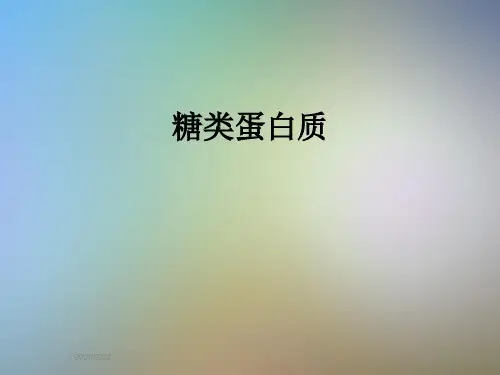 糖类蛋白质