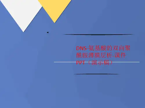 DNS-氨基酸的双向聚讲义酰胺薄膜层析-课件PPT(演示稿)