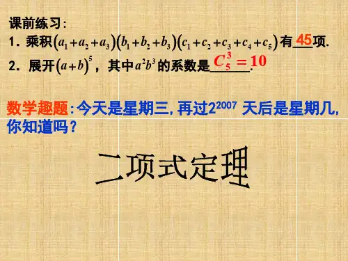 《二项式定理》(高三数学精品课件)