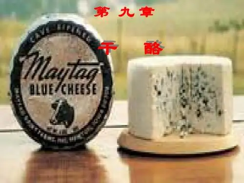 第九章干酪