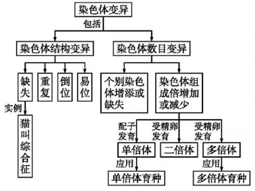 届一轮复习染色体变异与育种