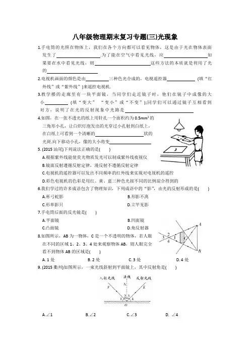 八年级物理期末复习专题(三)光现象