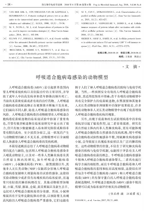 呼吸道合胞病毒感染的动物模型