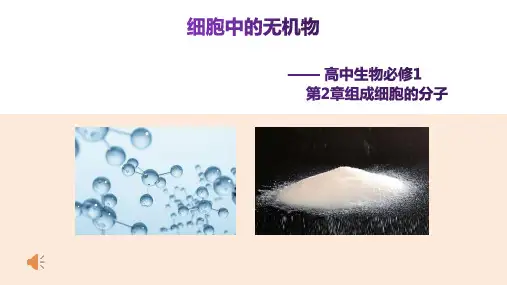 人教版高中生物必修第2册 细胞中的无机物
