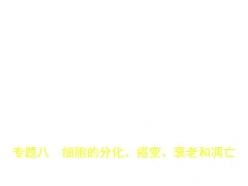 2020高考生物北京大一轮复习课件+pdf教师用书：专题8 细胞的分化、癌变、衰老和凋亡