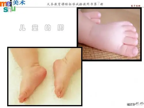 四年级美术上册能干的脚课件2苏少版 (1)